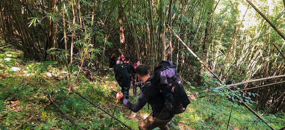 Partez dans la jungle Lahu dans le triangle d'or et apprenez les fondamentaux de la survie en forêt avec notre guide explorateur
