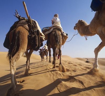 Aventure en Tunisie dans les dunes du Grand Erg Oriental, au rythme de la caravane, en compagnie de nos amis les nomades. 