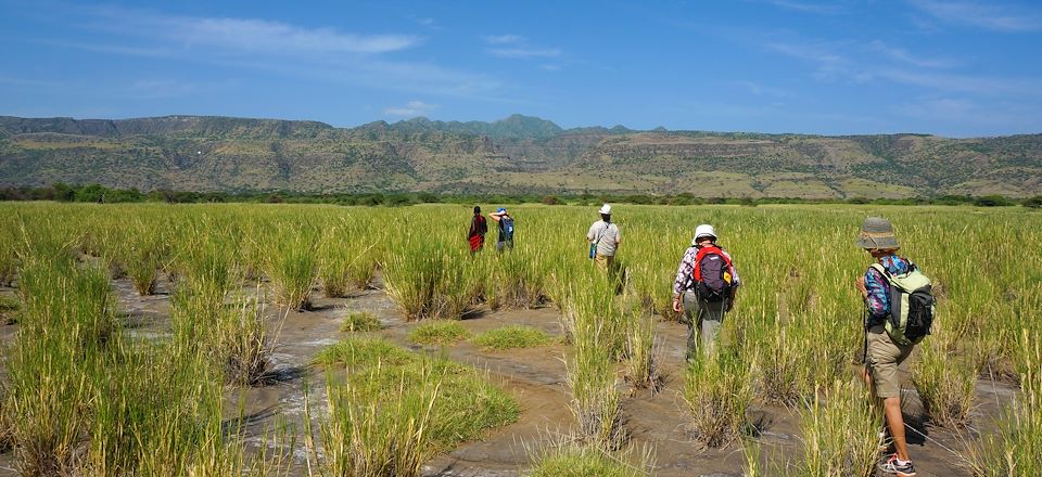 Voyage entre filles: Du mythique parc du Serengeti au cratère du N'Gorongoro puis du parc du Tarangire au Lac Natron sous tente...