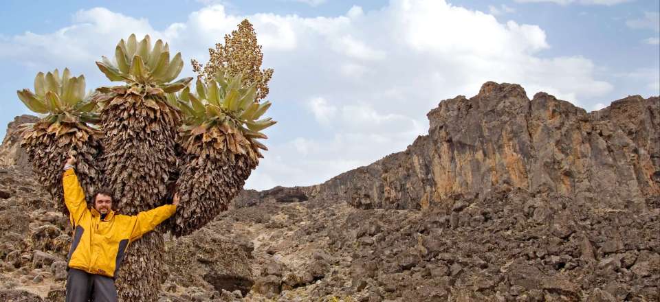 Ascension Kilimandjaro par la voie Rongai