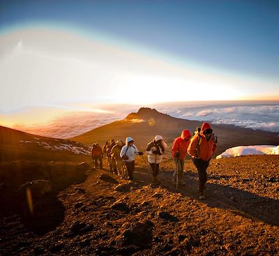 Ascension du Kilimandjaro par la voie Machame, de la forêt tropicale jusqu'au glacier...