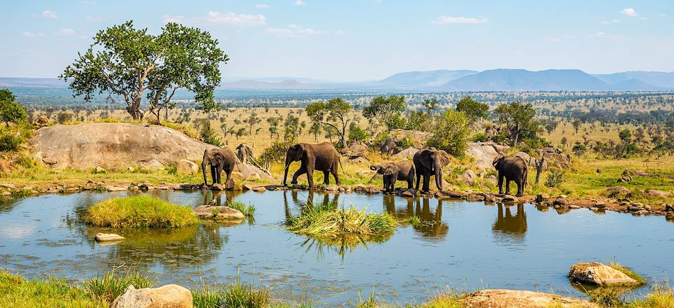 Les plus beaux parcs du Nord de la Tanzanie en camp de toile et Lodge