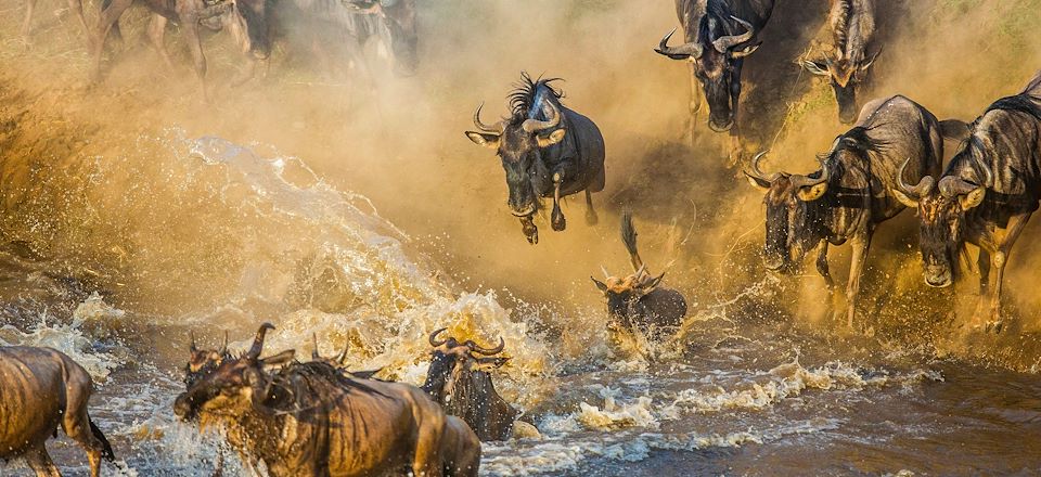 Safari sur la trace de la grande migration des Gnous en Tanzanie, au coeur du Serengeti, avant les douces plages de Zanzibar..