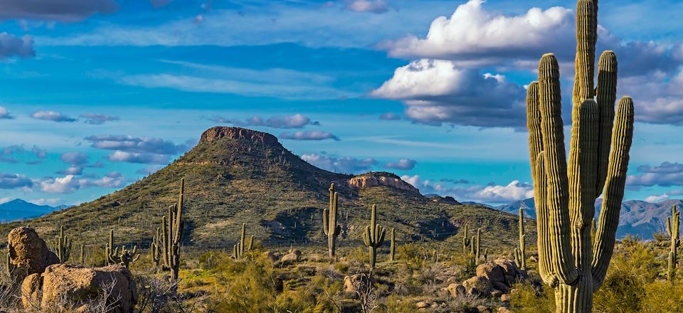 Trek dans une ambiance Far West au coeur du desert de Sonora : 3J de Trek dans le P.N de Saguaro et ascension sommet Picacho