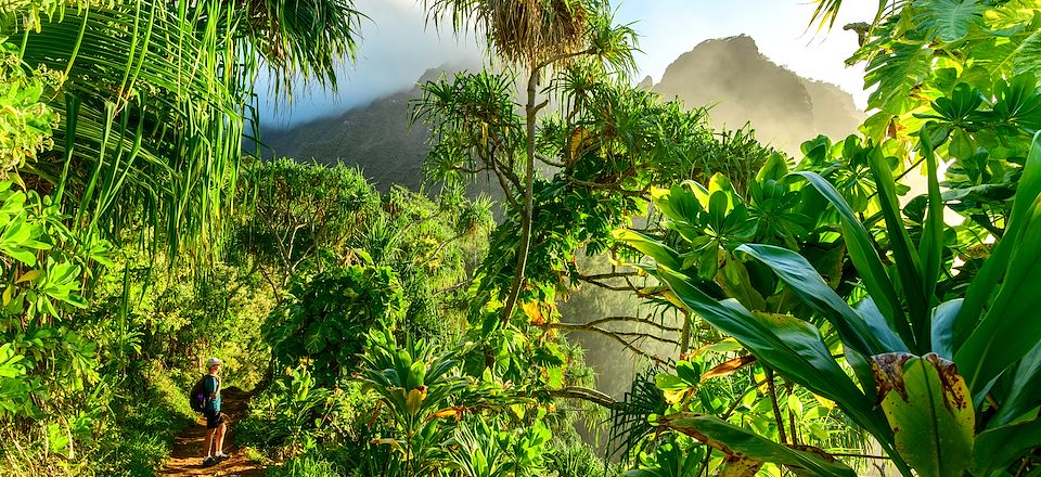 Circuit à Hawaï à travers 4 îles en autotour: Oahu, Kauai, Maui et Big Island entre randonnées, plages de rêve et volcans! 