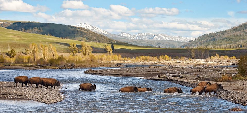 Road trip des Etats-Unis au Canada, avec les plus beaux parcs des Rocheuses : Yellowstone, Banff, Jasper, etc