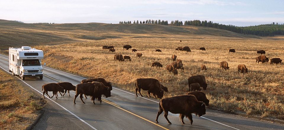 Circuit des parcs de l'Ouest Américain en camping-car de Salt Lake à Yellowstone, via le Grand Canyon, Monument Valley et Arches