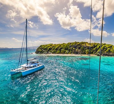 Croisière en catamaran de la Martinique aux îles Grenadines : Sainte-Lucie, Saint-Vincent, Tobago Cays...