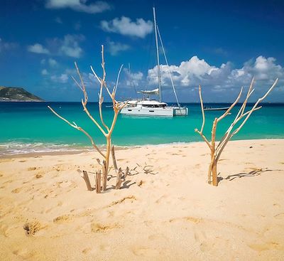 Croisière en catamaran dans les îles Vierges britanniques au cœur des Caraïbes