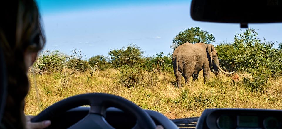 Safari en Afrique du Sud du sud au nord du parc Kruger en 4x4 tente de toit et nuits en plein bush dans les Rest Camps du parc