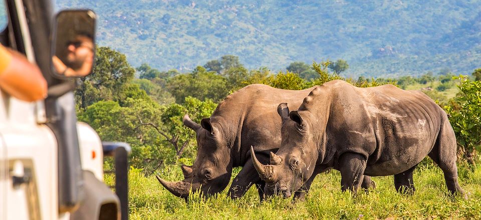 Safaris au Kruger et dans la réserve privée de Karongwe puis découverte de la Route panoramique, de Pretoria et Soweto