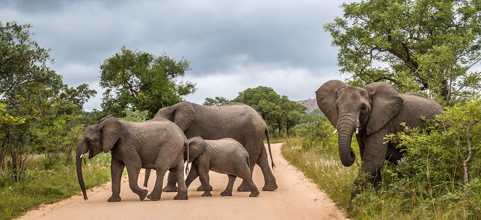 Safari dans le Parc Kruger en Afrique du Sud, une aventure en 4x4 équipé d’une tente de toit jusqu’au Blyde River Canyon