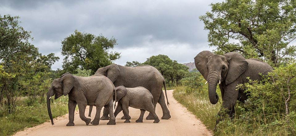 Safari dans le Parc Kruger en Afrique du Sud, une aventure en 4x4 équipé d’une tente de toit jusqu’au Blyde River Canyon