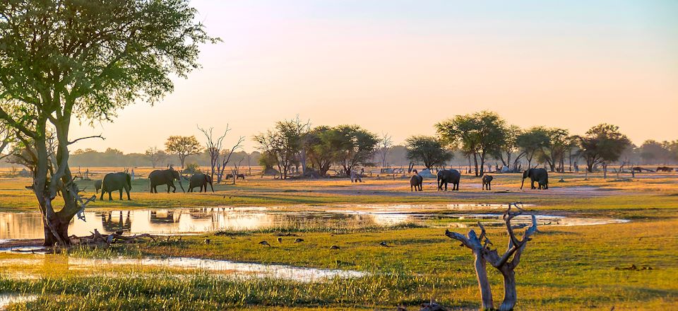 Voyage découverte entre nature grandiose et histoire millénaire: Matopos, Hwange, Great Zimbabwe, Nyanga et Vic Falls !