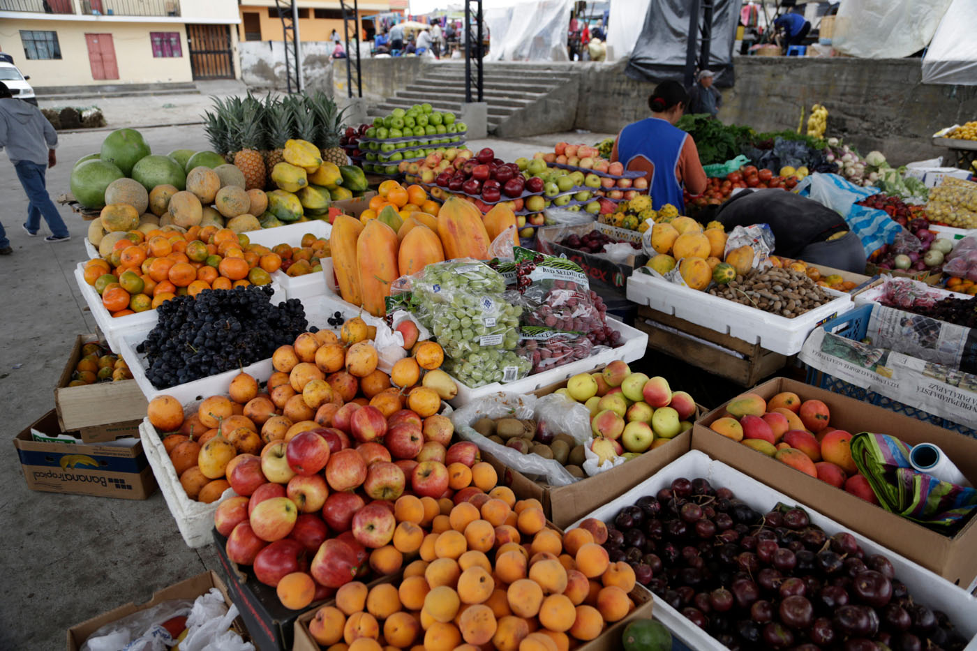 fruits-equateur