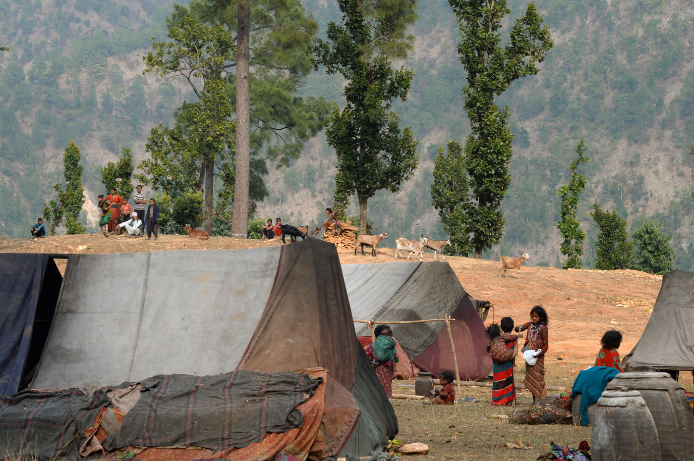 Tunibar - camp Raute et les villageois qui regardent avec curiosité les nomades installer leurs tentes