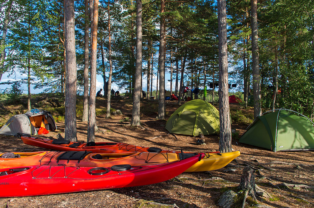 Un bivouac sympa au cœur de la pinède en Suède