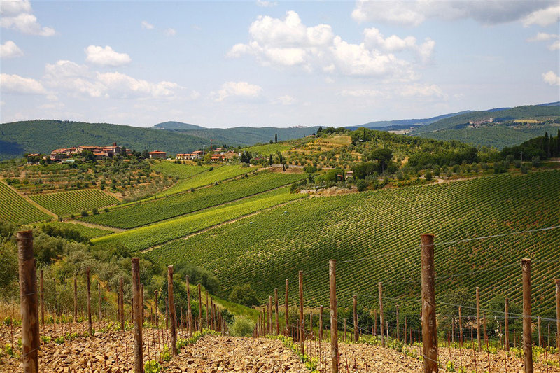 Italie, paysage du Chianti en Toscane