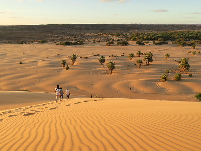 Randonnée dans le Sahara entre Atar et Azoueiga en Mauritanie © Laurie-Elisa Petis