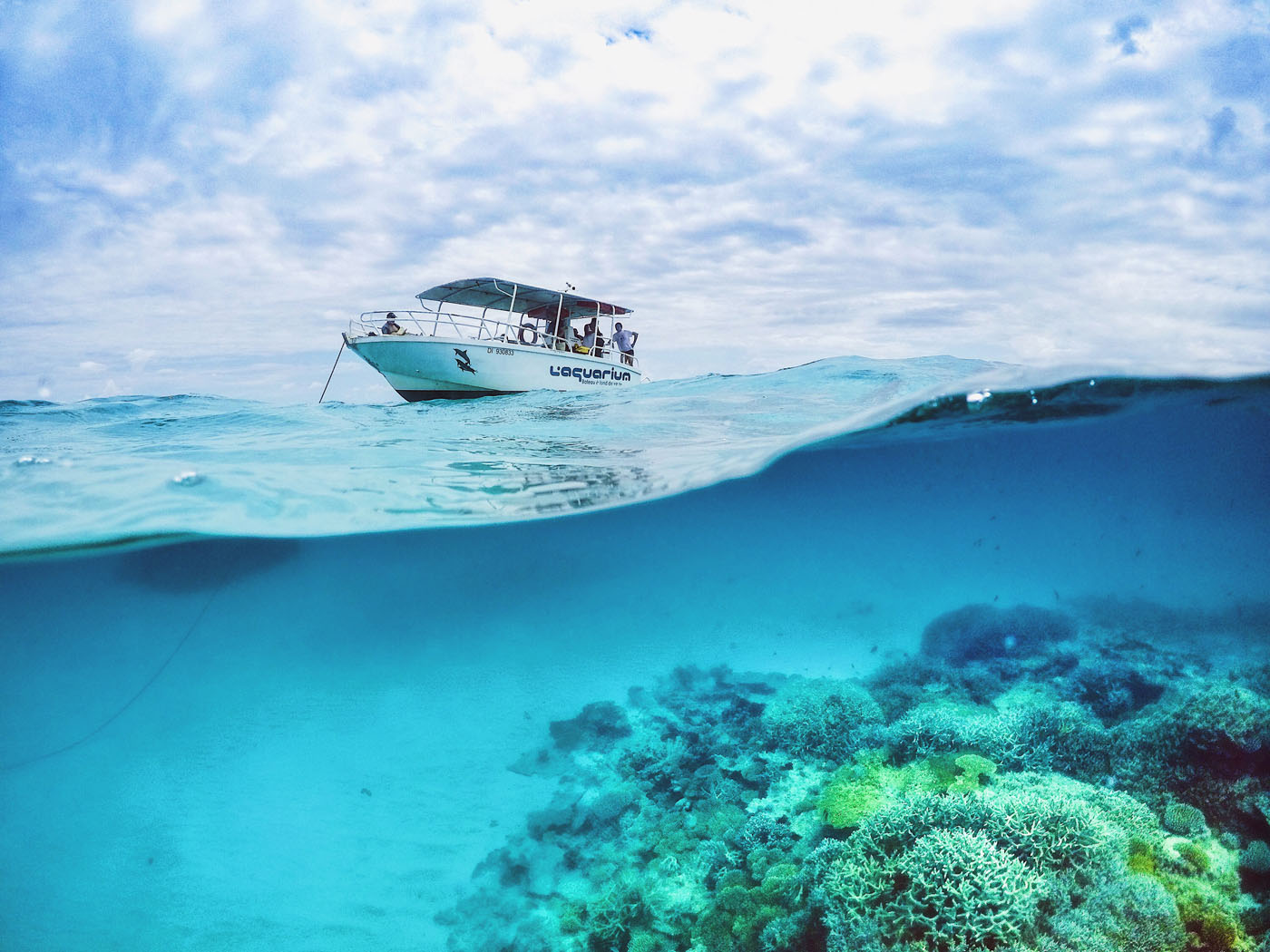 Snorkeling au milieu des coraux et des tortues