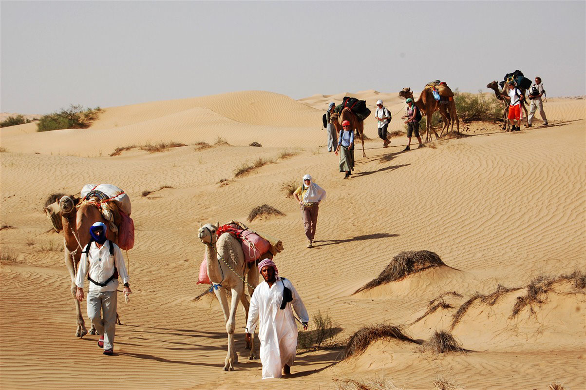 Randonnée chamelière au cœur du désert de Wahiba sur les traces de Sir Thesiger, à Oman.