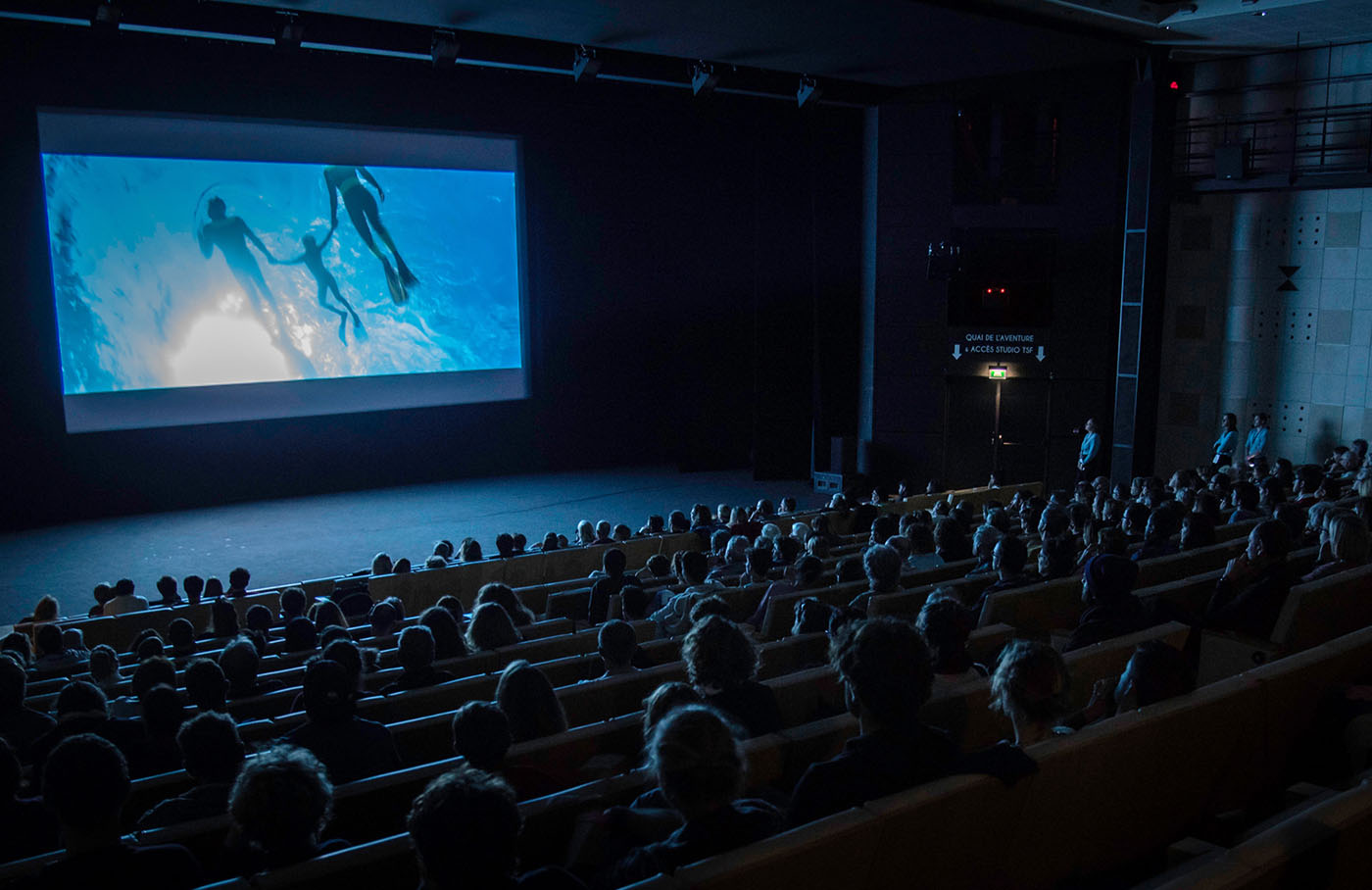 Salle de projection au FIFAV de La Rochelle