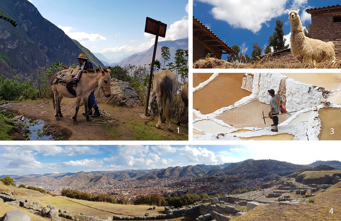 1 et 2 : Trek du Choquequirao, Pérou - 3 : Salines de Maras, Pérou - 4 : Cuzco, Pérou
