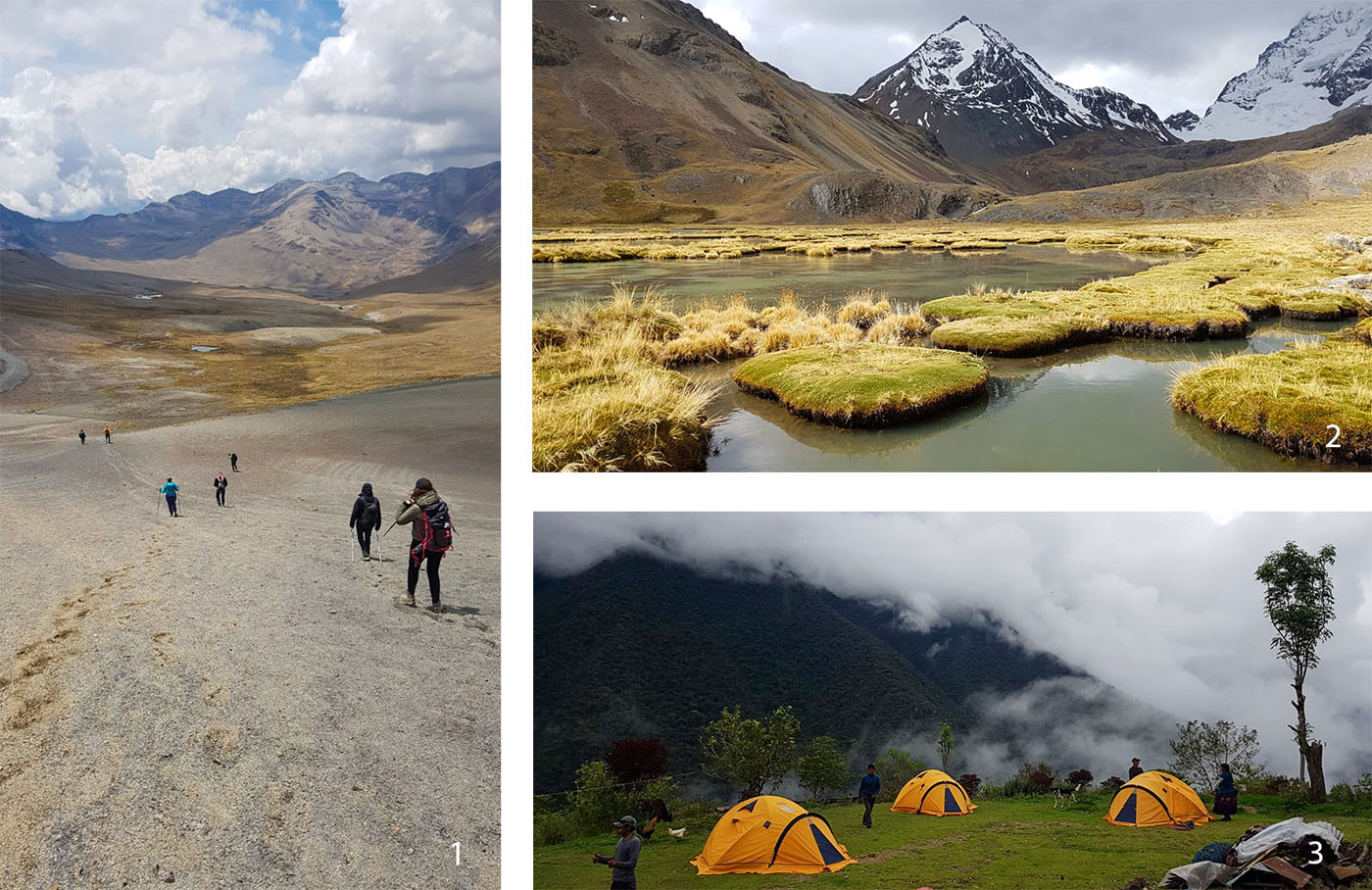 1, 2 et 3 : Trek de la cordillère Royale