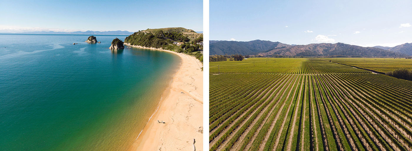 A droite : Plage de sable à Abel Tasman - A gauche : Vignobles dans la région de Nelson