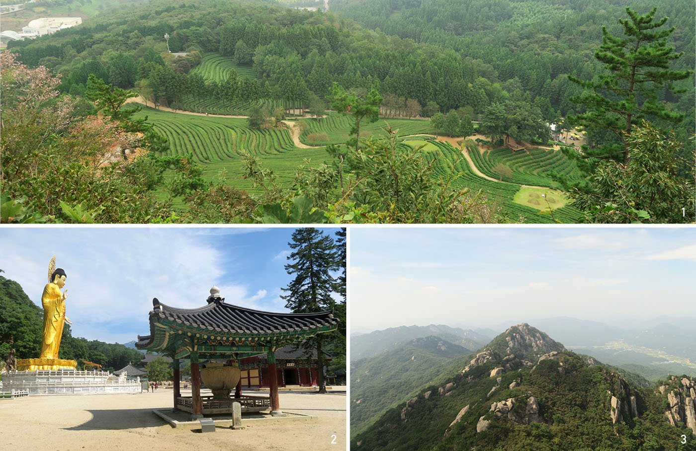 1: Plantations de thé de Boseong - 2 et 3 : Temple de Beopju et Pic de Munjangdae dans le parc national de Songnisan