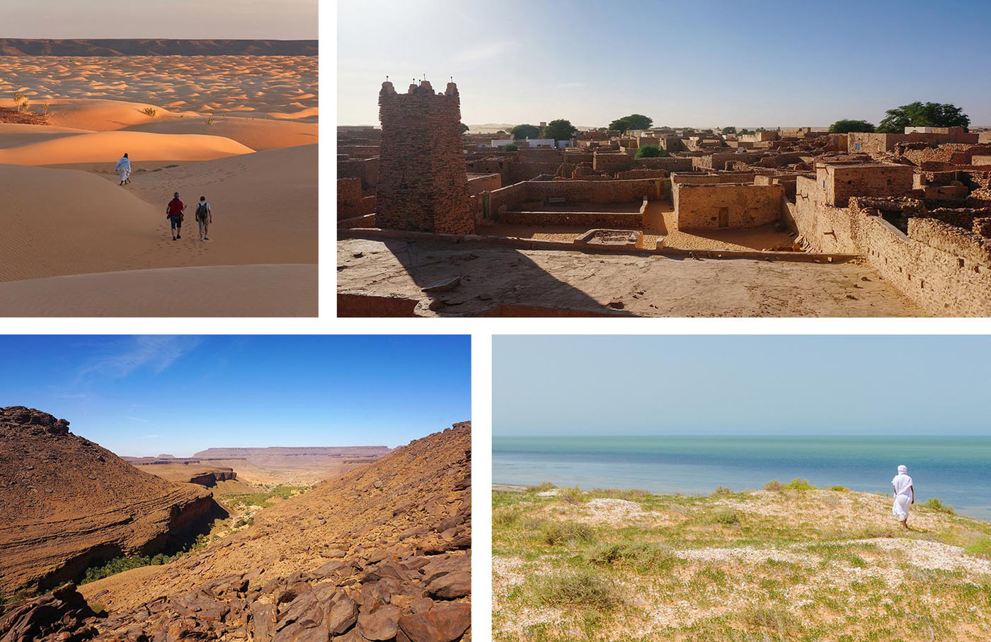 1) Dunes de l’Amatlich dans l’Adrar 2) Chinguetti3) Canyon de Terjit4) Banc d’Arguin