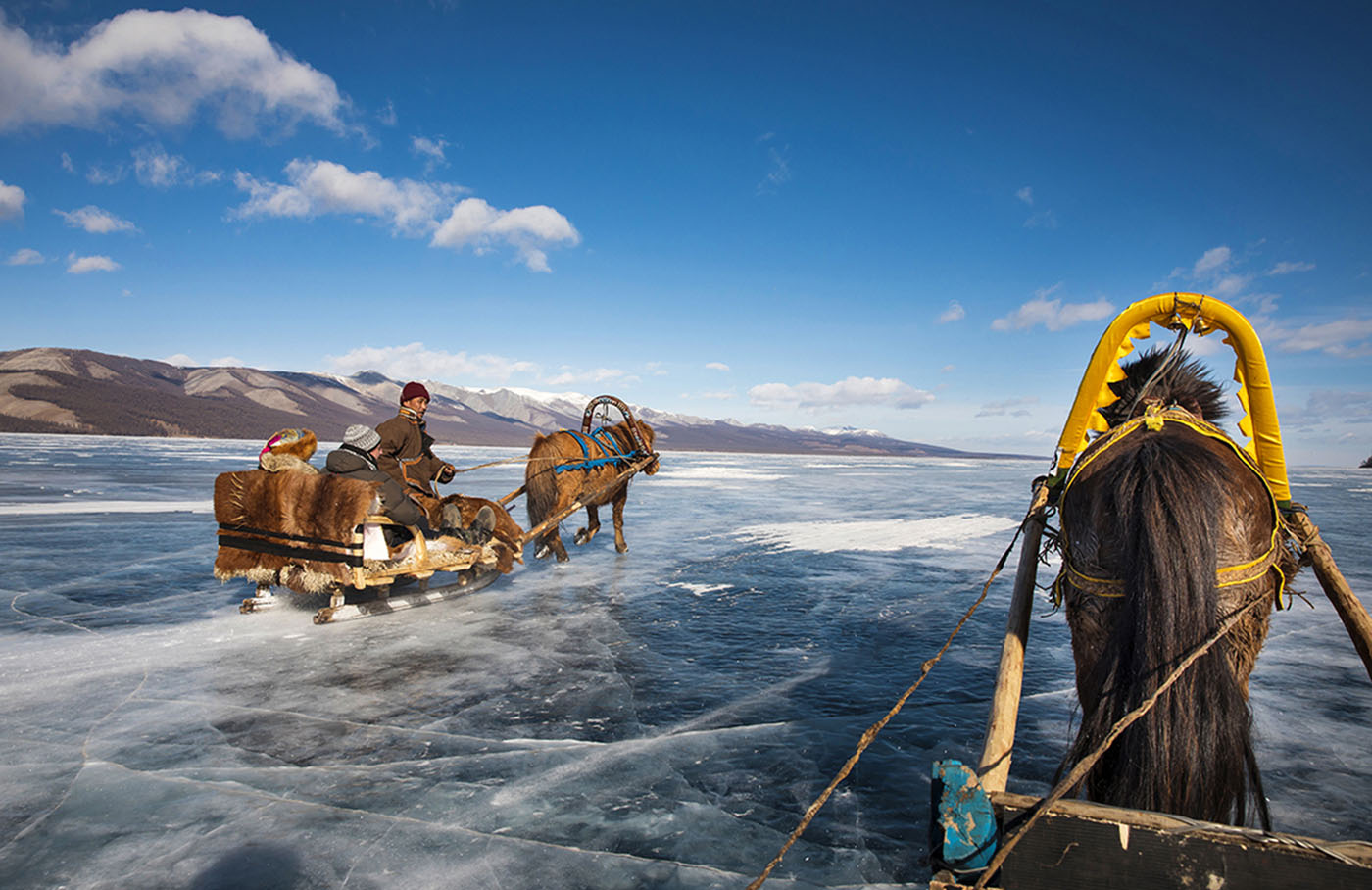 Festival des glaces - Traîneau à cheval sur le lac Khövsgöl - Mongolie