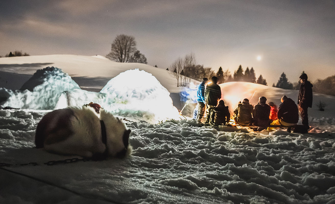 Campement avec igloos dans le Haut-Jura