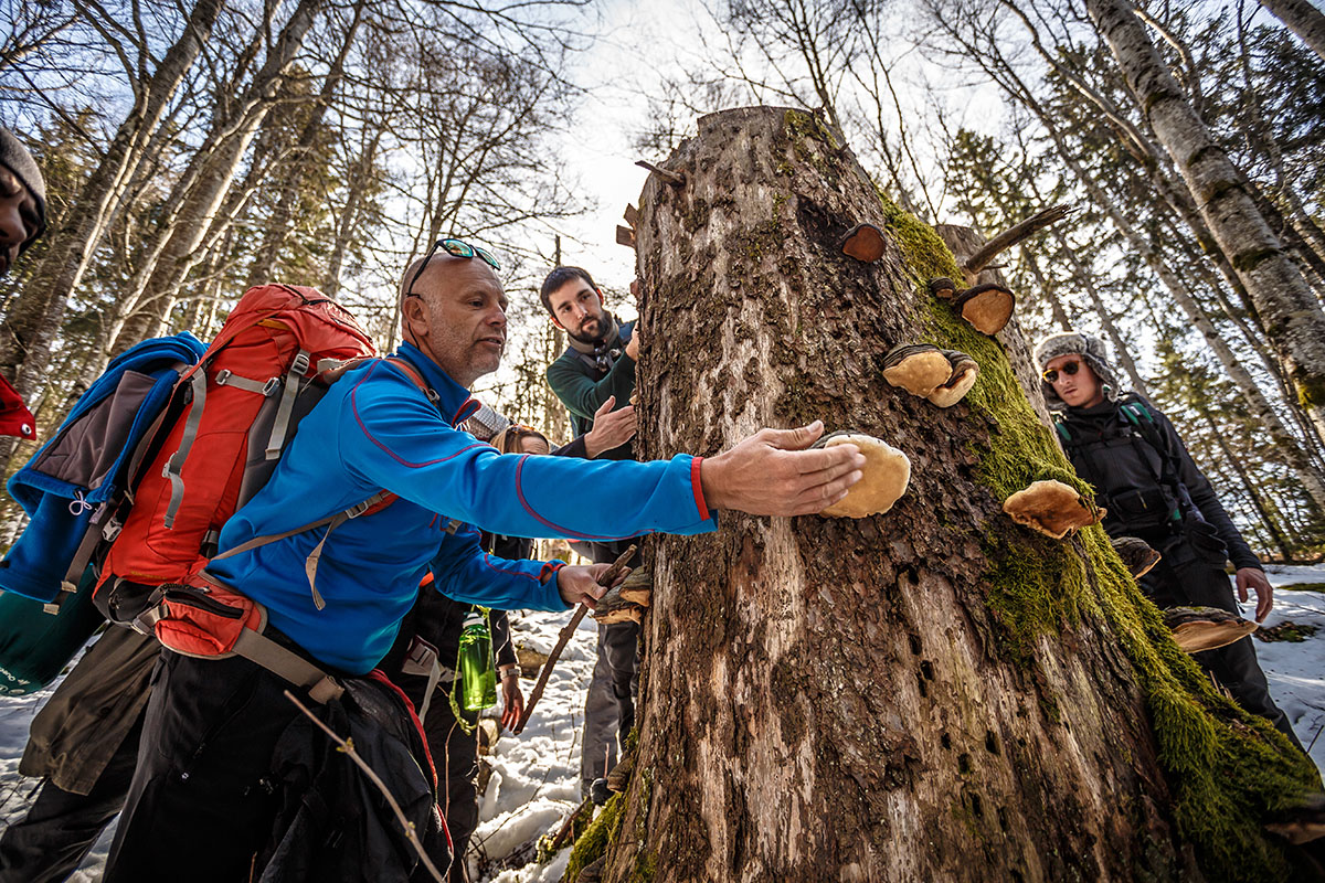 Denis Tribaudeau en stage de survie dans le Haut-Jura