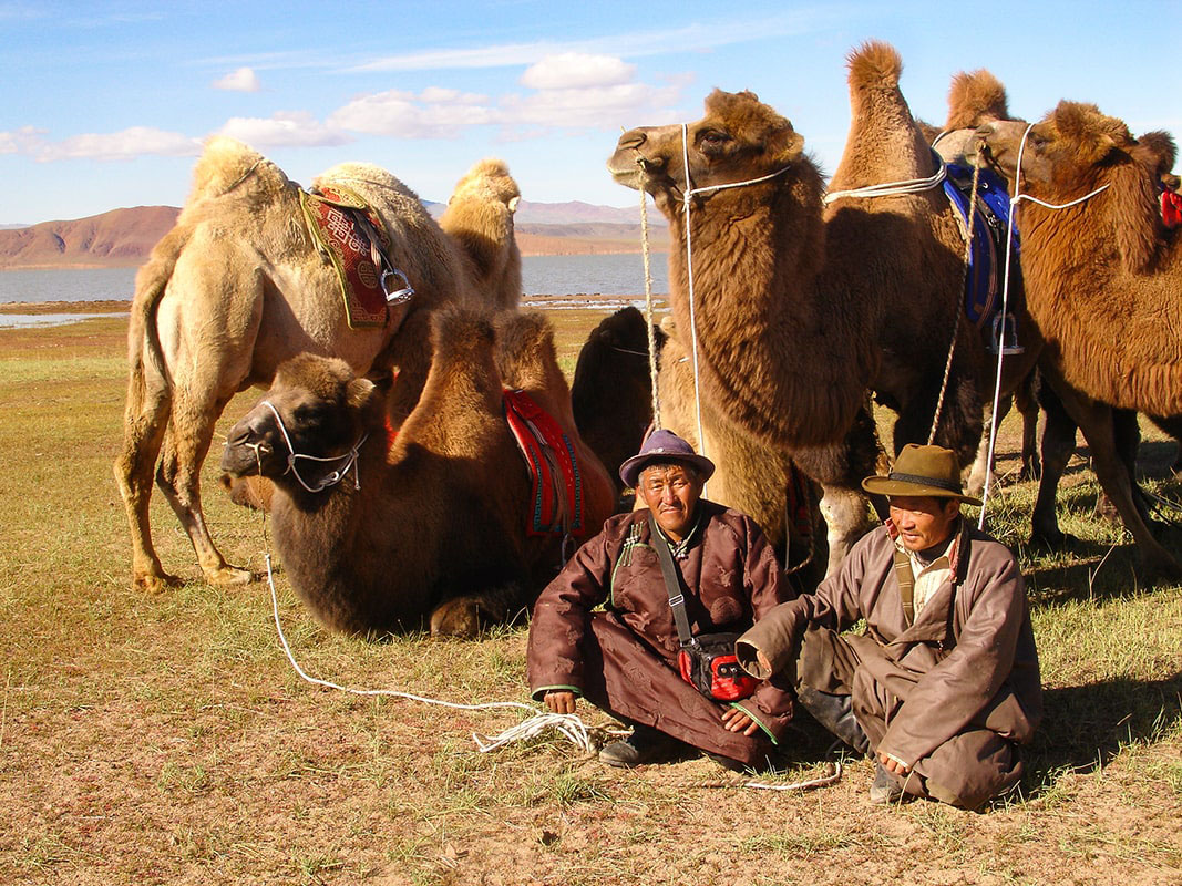 Nomades et leurs chameaux sur la route du Sel en Mongolie