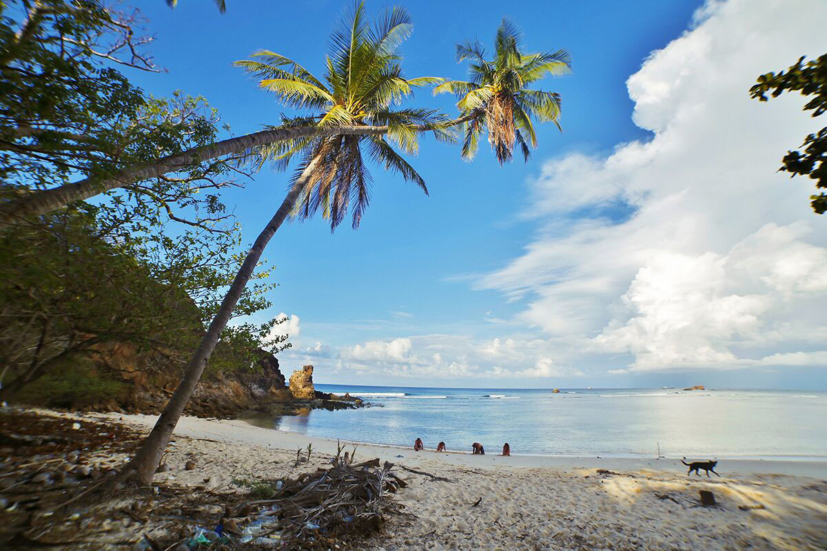 Recherche des bigorneaux sur la plage déserte en voyage Survie aux Philippines 