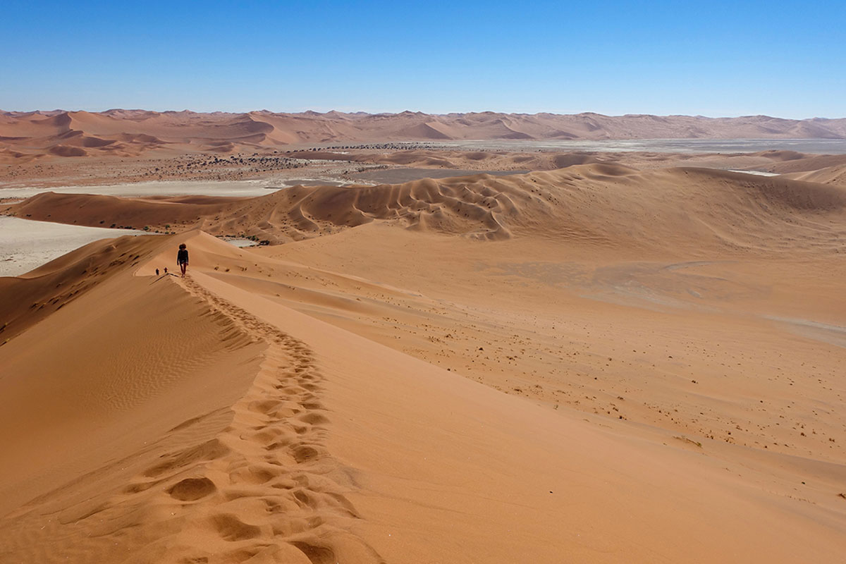 Randonnée dans le désert du Namib 