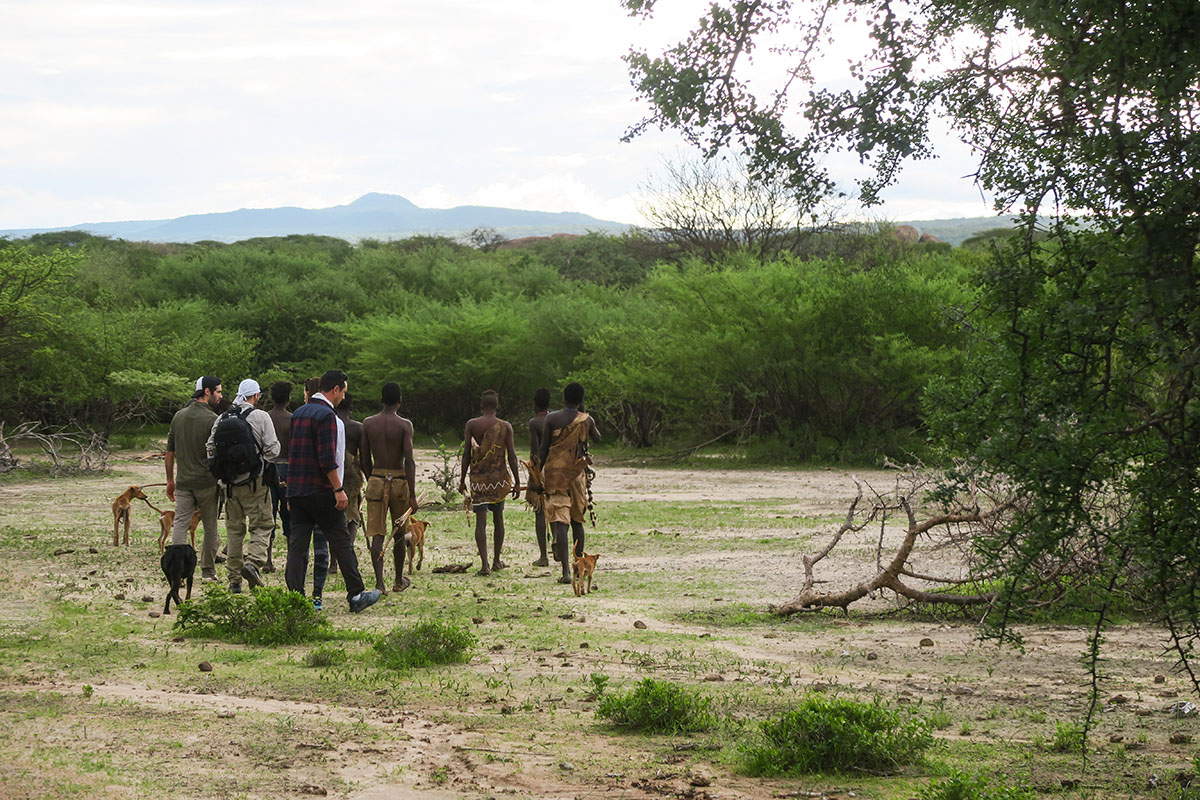 Marche dans le bush tanzanien à la recherche de nourriture