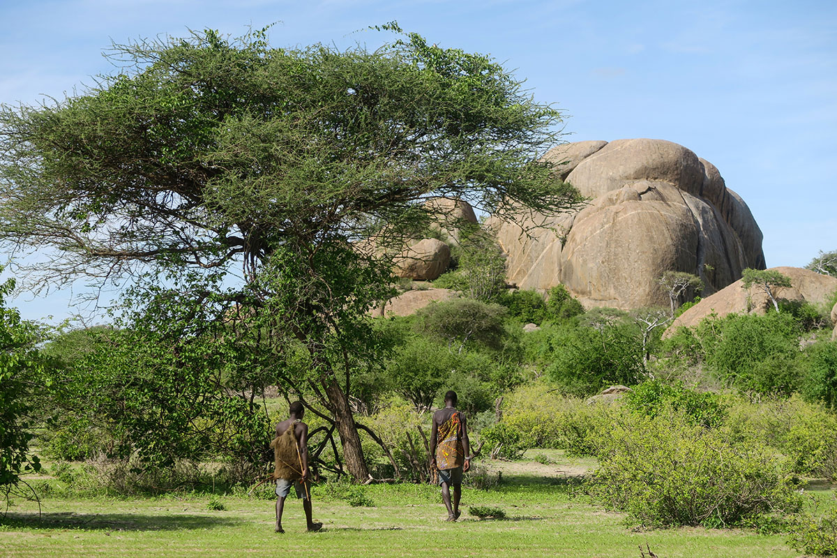 Le bush tanzanien près du lac Eyasi en Tanzanie