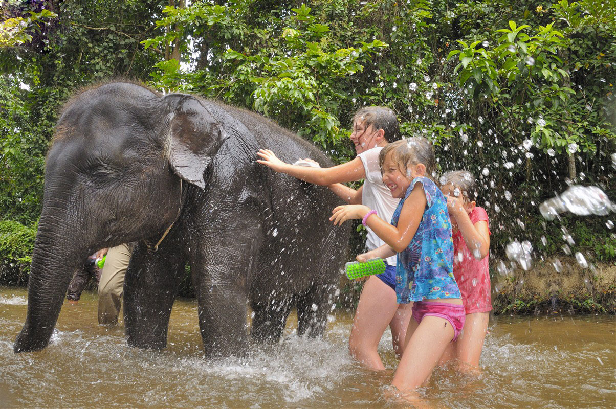 Bain avec les éléphants en Thaïlande 