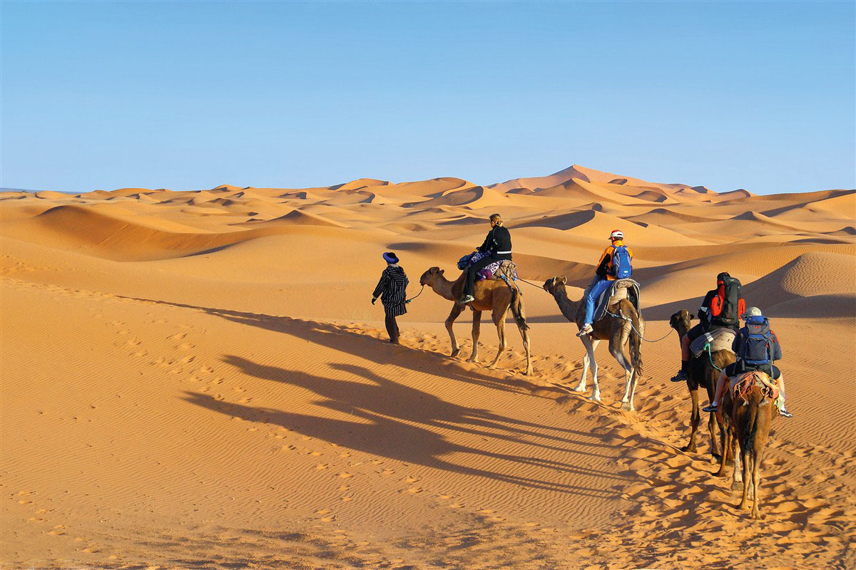 Méharée à dos de chameaux dans le Sahara marocain
