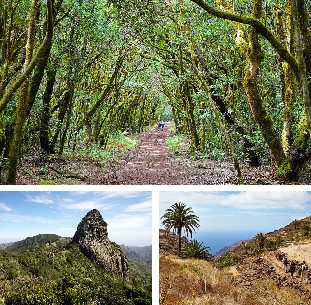 1) Parc national de Garajonay à La Gomera2) Rocher d’Agando à La Gomera3) Randonnée à La Gomera