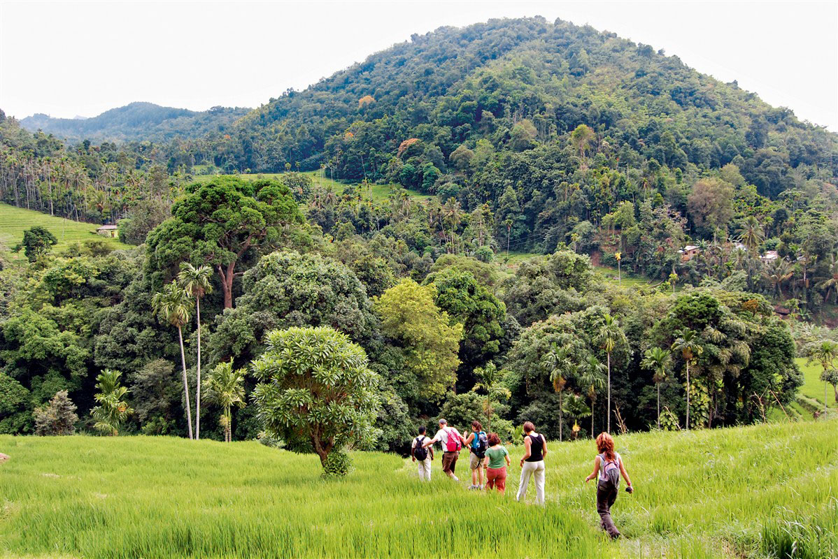 Randonneurs dans les Knuckles Range au Sri Lanka