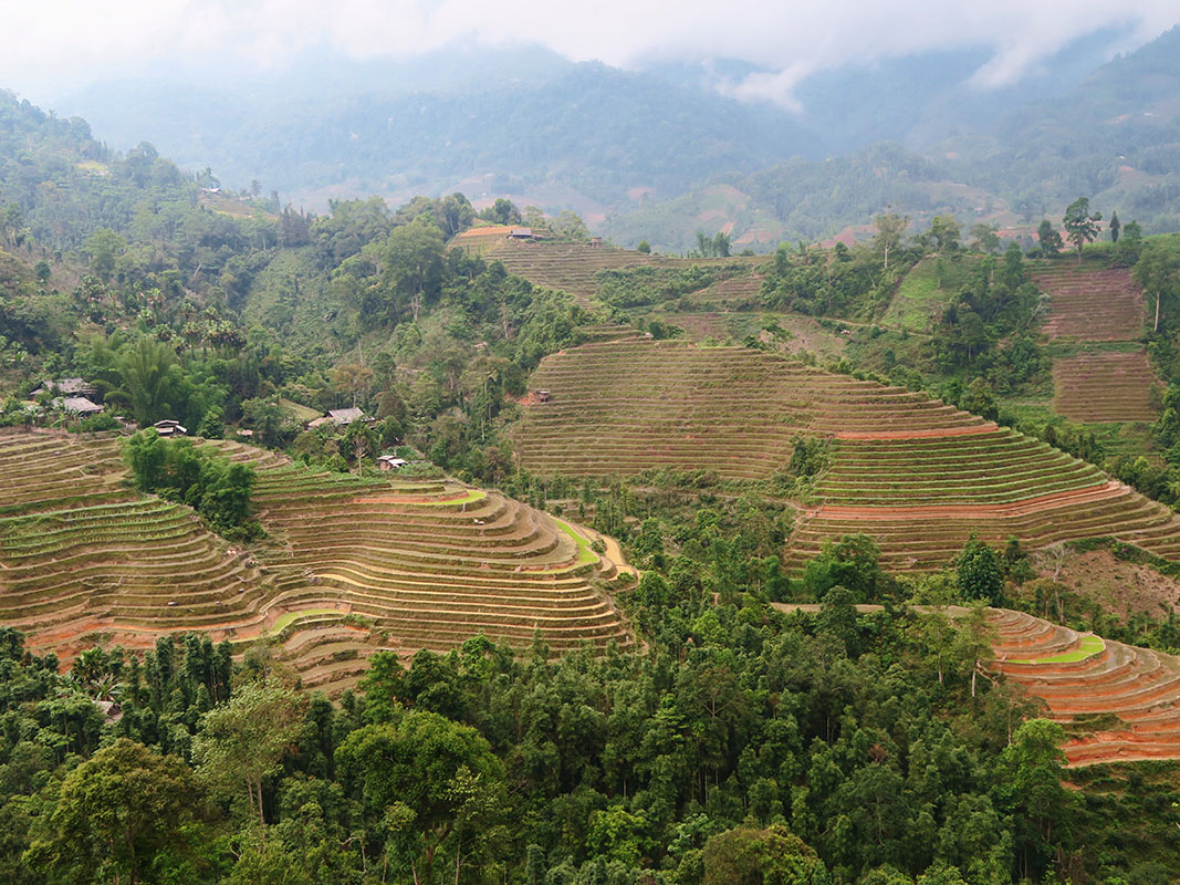 Rizières en terrasses dans le district de Hoàng Su Phì - Nord du Vietnam