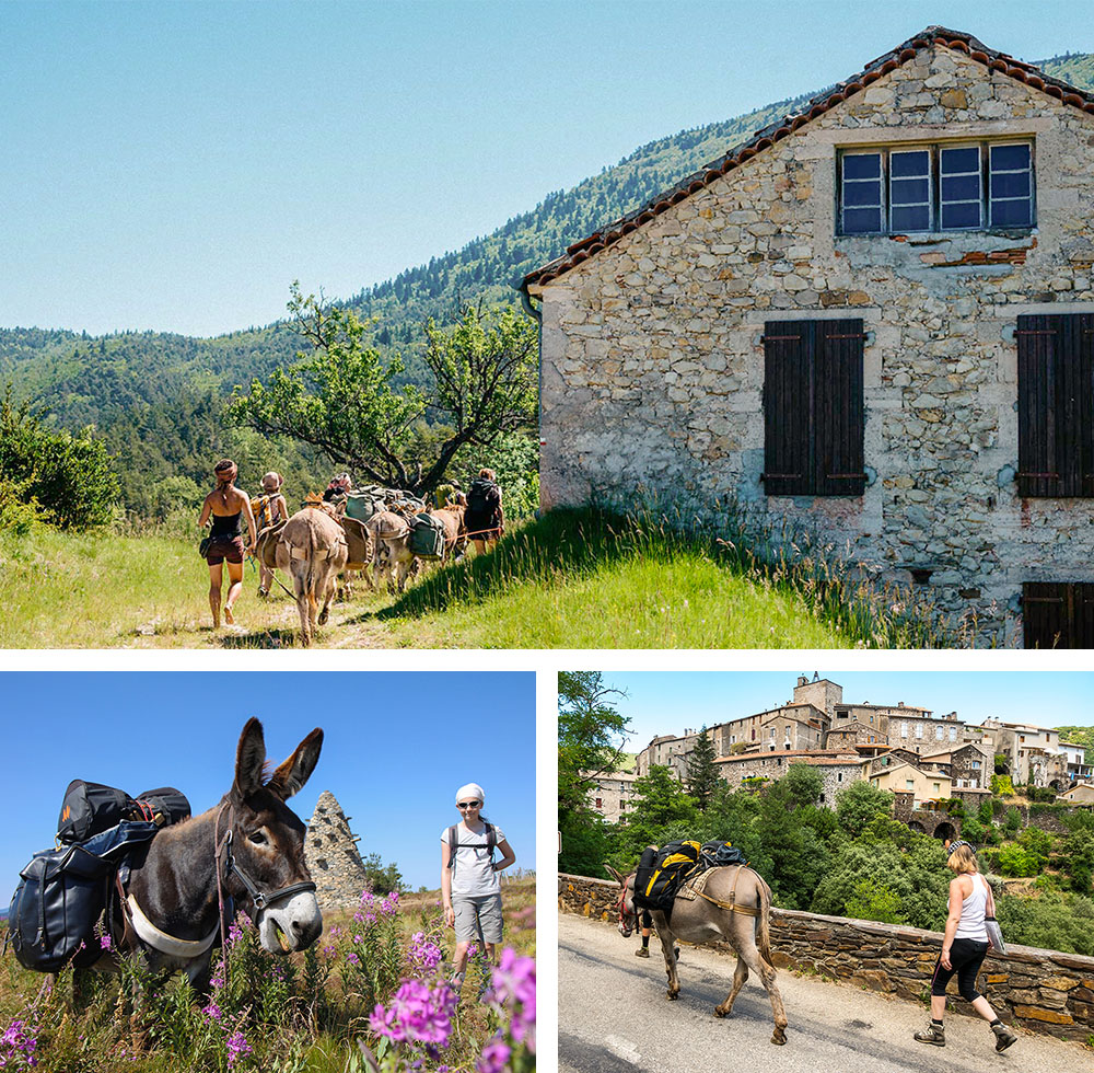 1/ Randonnée avec des ânes dans la Drôme - France2/ Randonnée avec des ânes en Ardèche - France3/ Randonnée avec des ânes dans les Cévennes - France