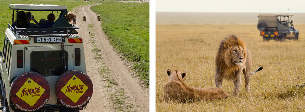 1) Safari en 4x4 dans le parc du Serengeti - Tanzanie 2) Safari en 4x4 dans la réserve nationale du Masai Mara - Kenya