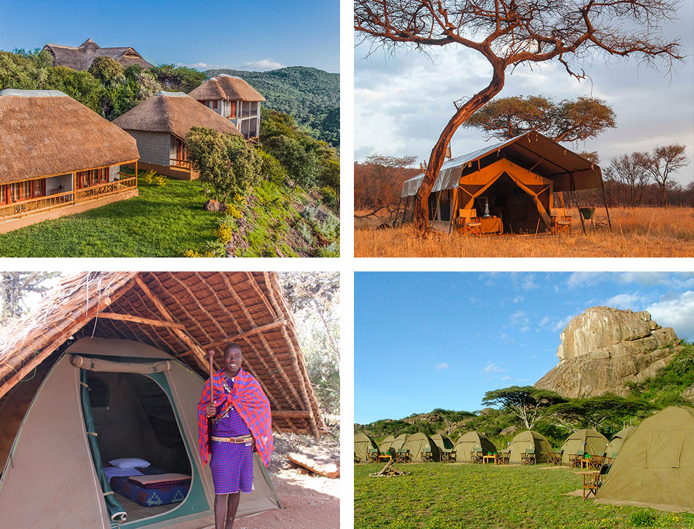 1) Lodge - Arusha - Tanzanie 2) Camp en pleine nature - Serengeti - Tanzanie 3) Eco camp en pleine nature - Réserve du Masai Mara - Kenya 4) Bivouac en Tanzanie  