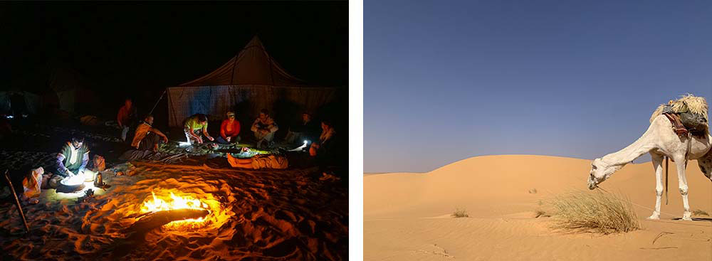 1) Soirée au coin du feu dans l'Erg Amatlich 2) Dromadaire dans le désert de l’Adrar