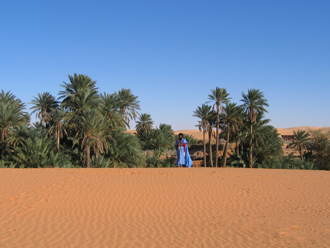 Environs de Chinguetti dans le désert de l'Adrar