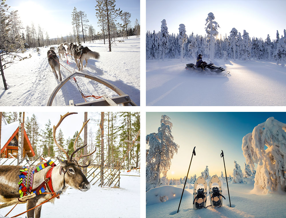 1) Traîneau à chiens sur les hauts plateaux de Kilpisjärvi en Laponie - Finlande 2) Raid à motoneige en Laponie - Finlande 3) Renne - Laponie - Finlande 4) Raquette en Laponie - Finlande